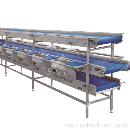 Vegetable conveying selecting machine